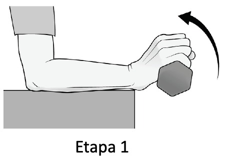 Ilustração AAOS: Extensão do punho, imagem 1