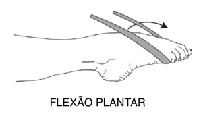 Ilustração AAOS: Dorsiflexão e flexão plantar do tornozelo